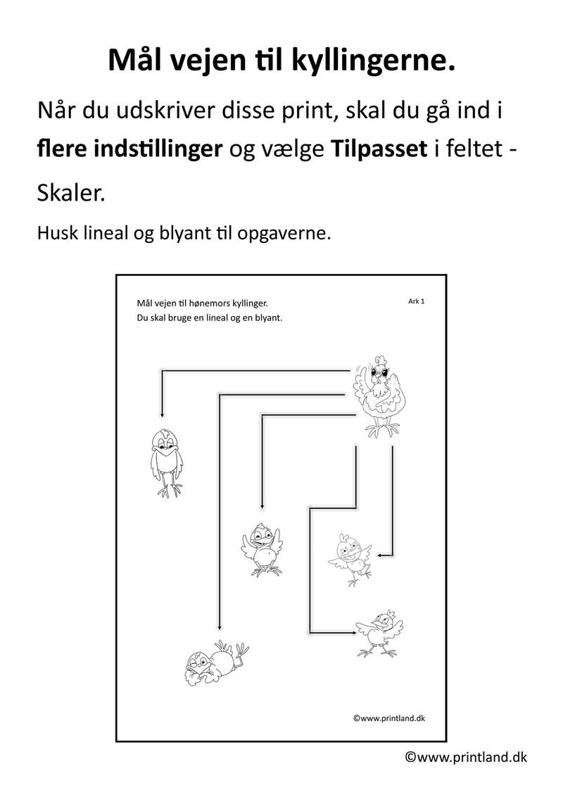 a11. forside høne mål vej