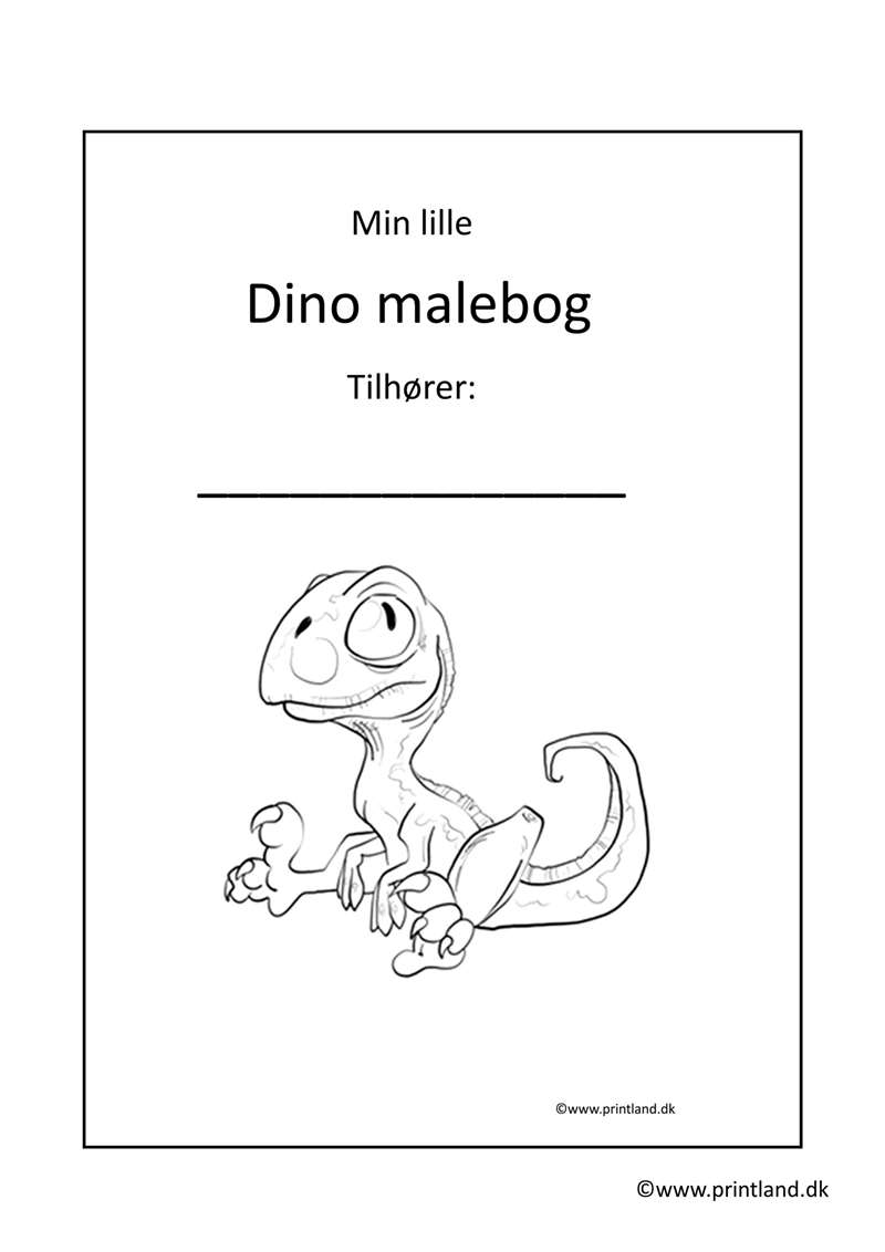 a10. forside dino malebog