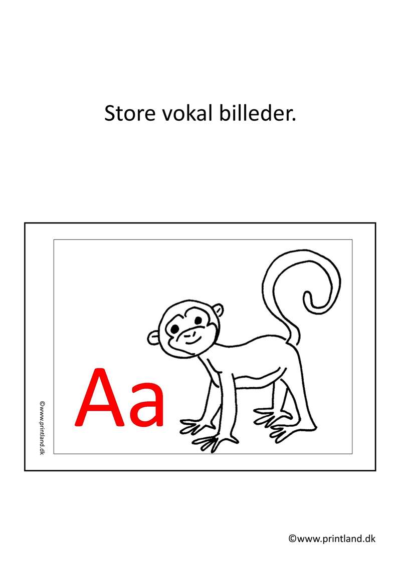 a12. forside store vokal