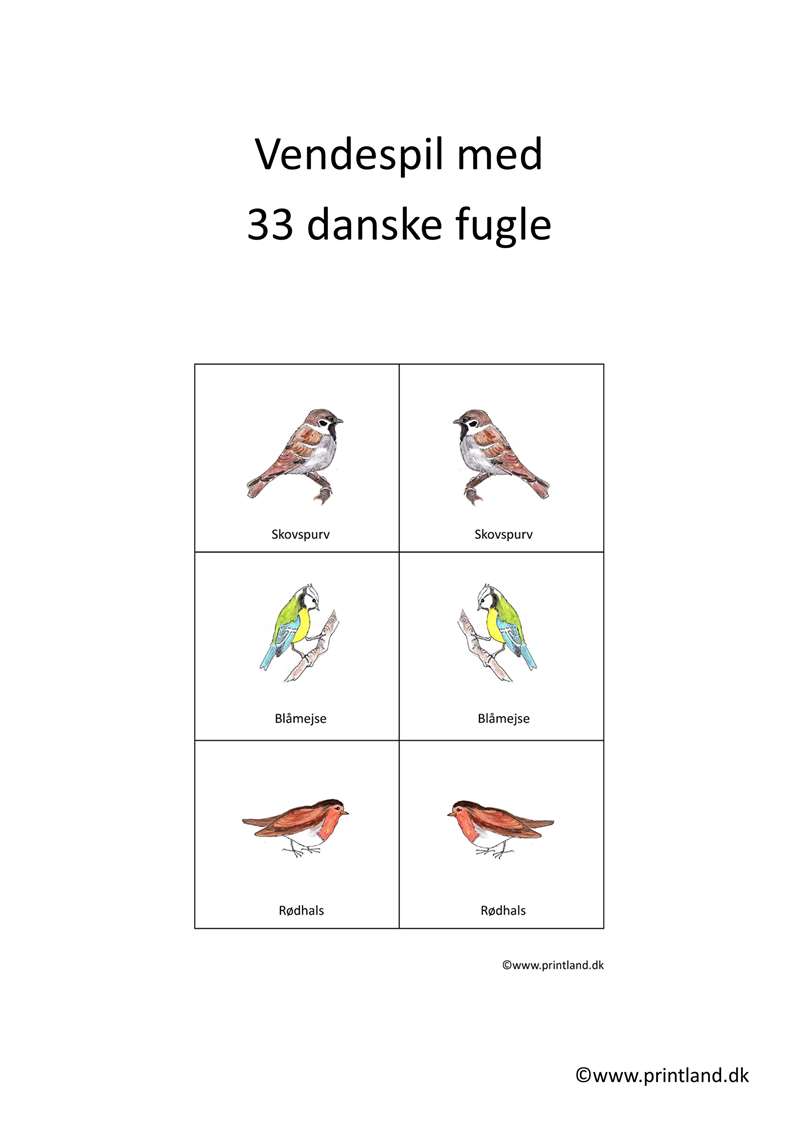 a10. forside vendespil fugle