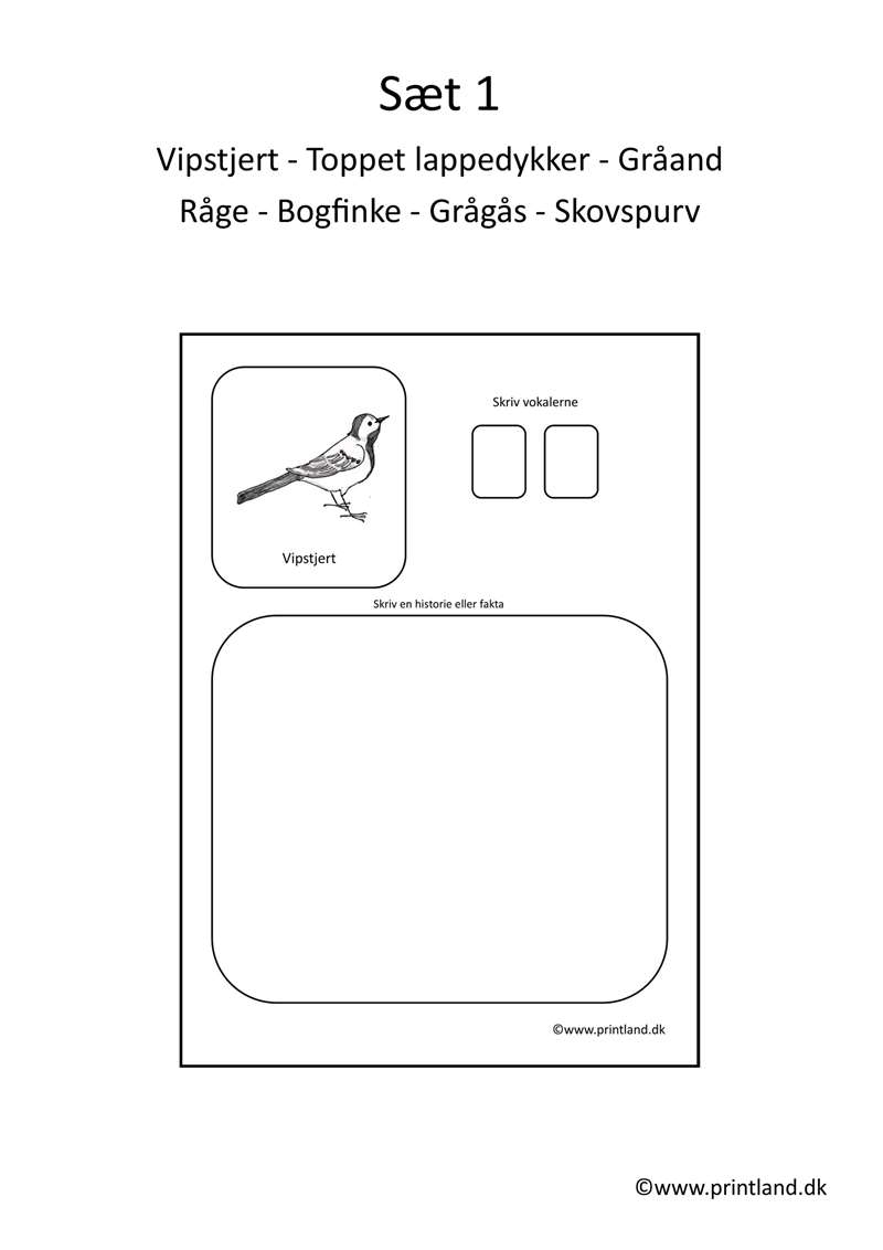 a11. forside fugle hist fakta