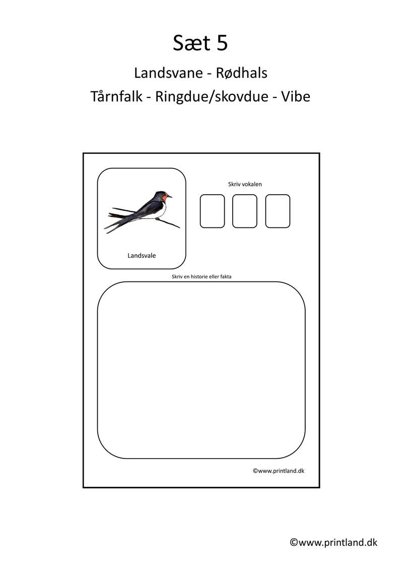 a15. forside fugle historie fakta