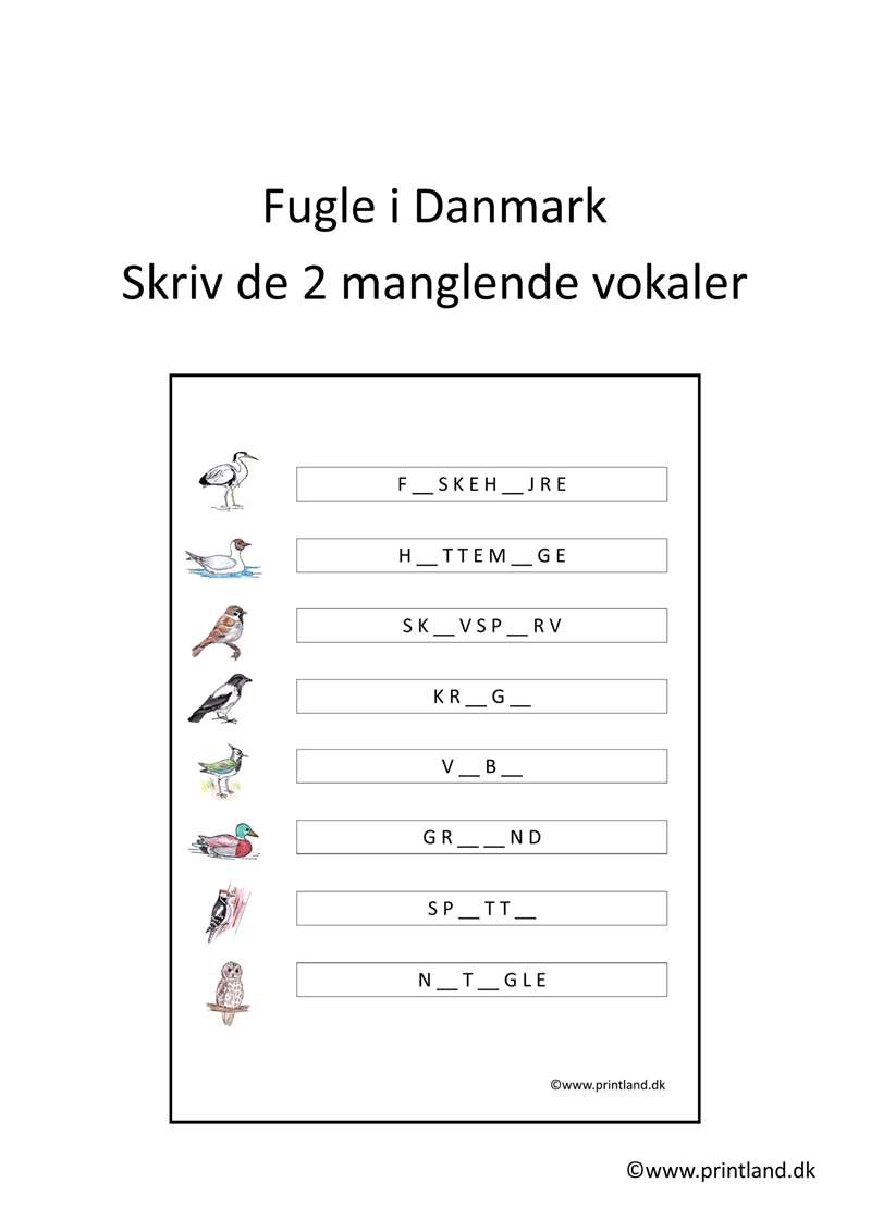 a11. forside skriv 2  vokaler