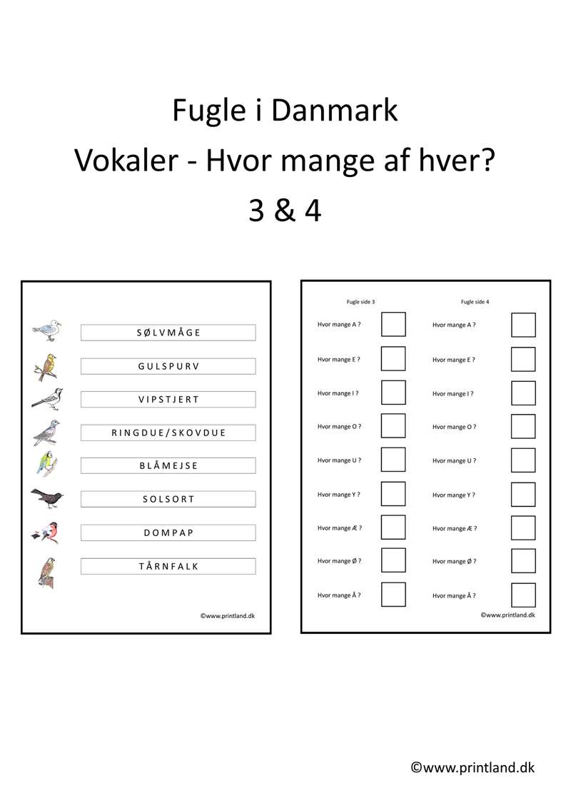 a13. forside vokaler 3&4