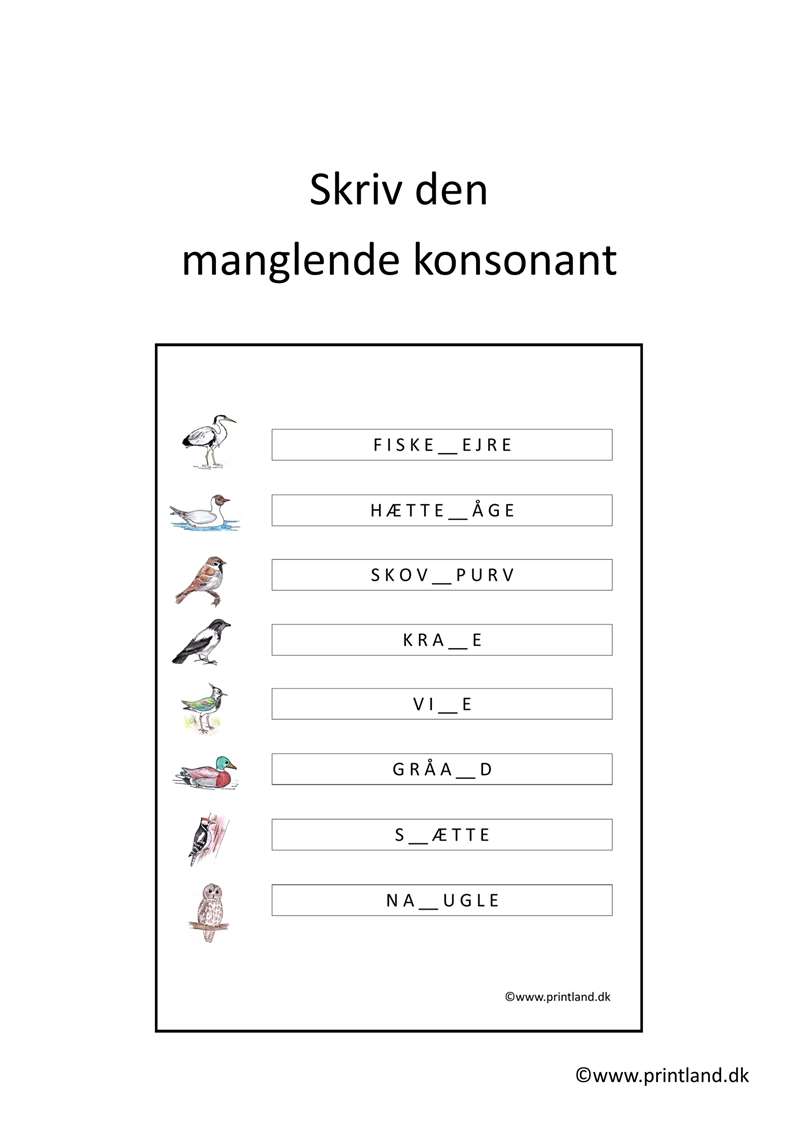 a15. forside manglende konsonant