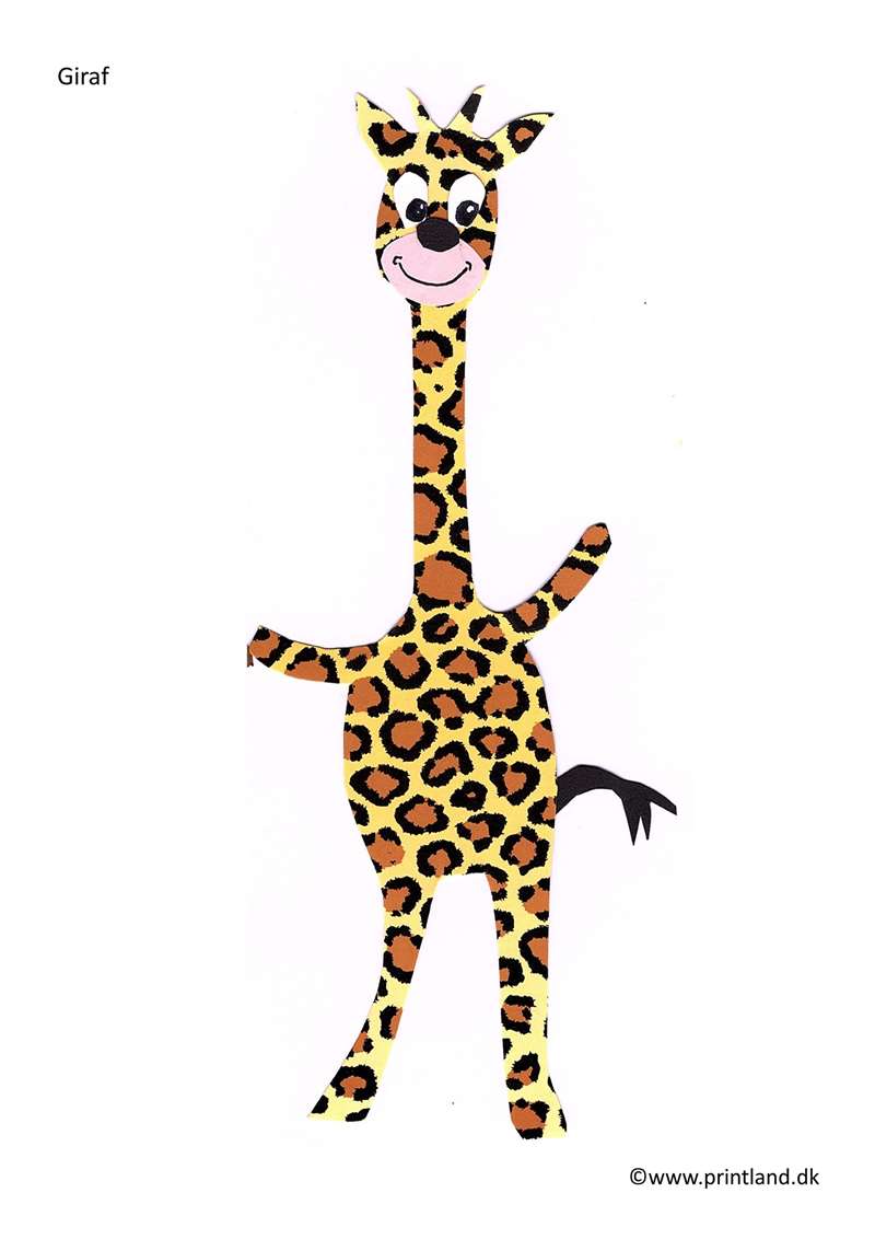 a10. giraf