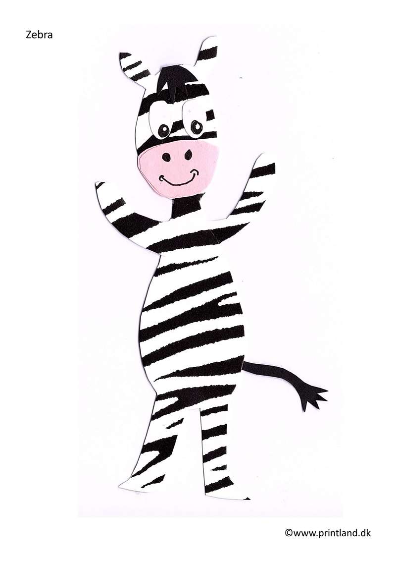 a12. zebra