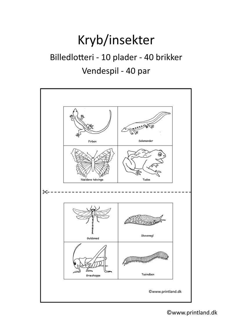 a30. forside kryb & insekter