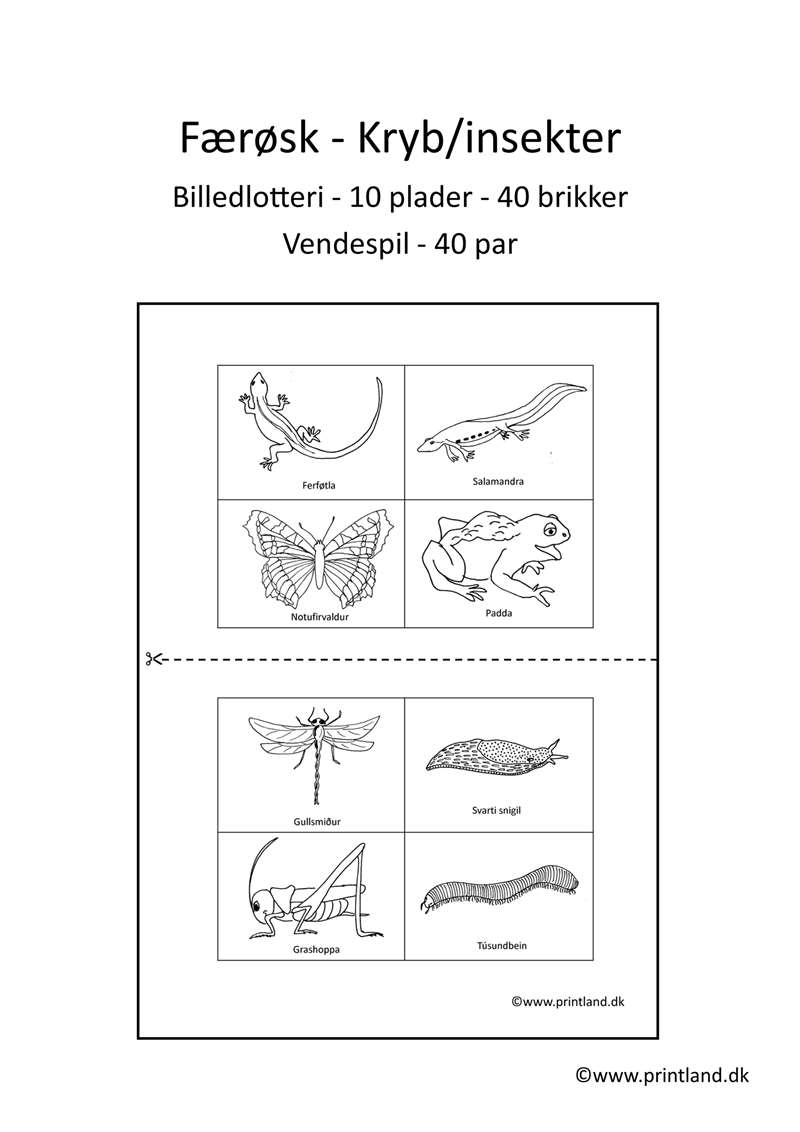 a30. færøsk  forside kryb & insekter