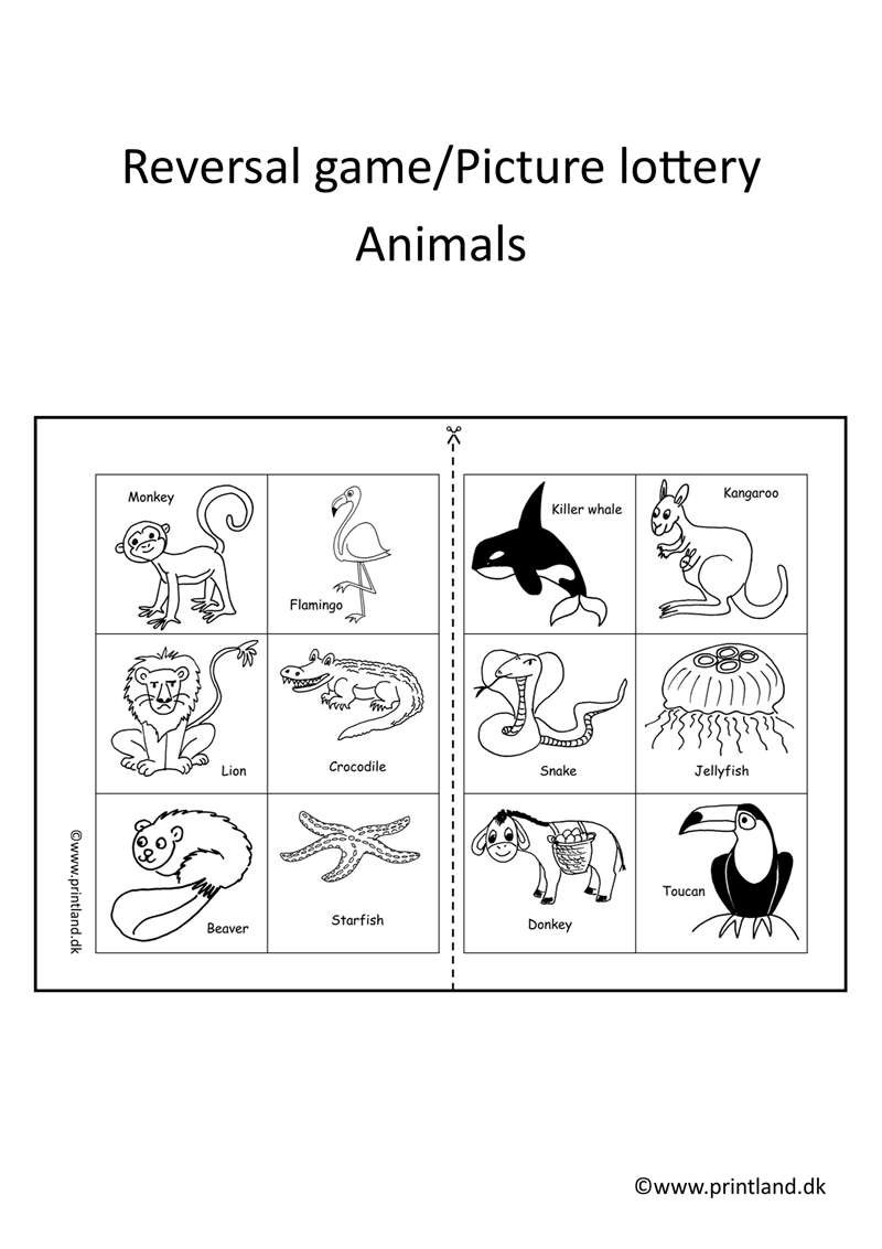 a11. forside animals