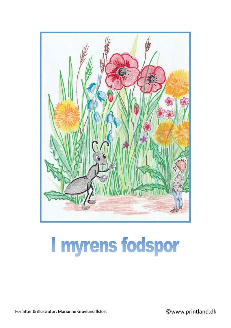 a11. myren