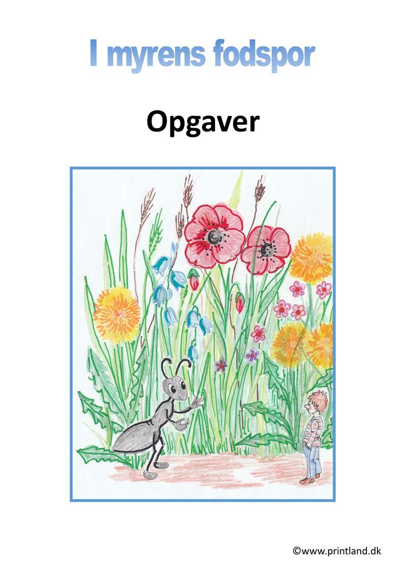 a21. opgaver myren