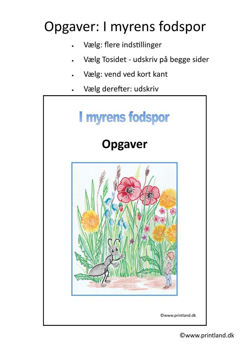 a22. forside opgaver myren lille