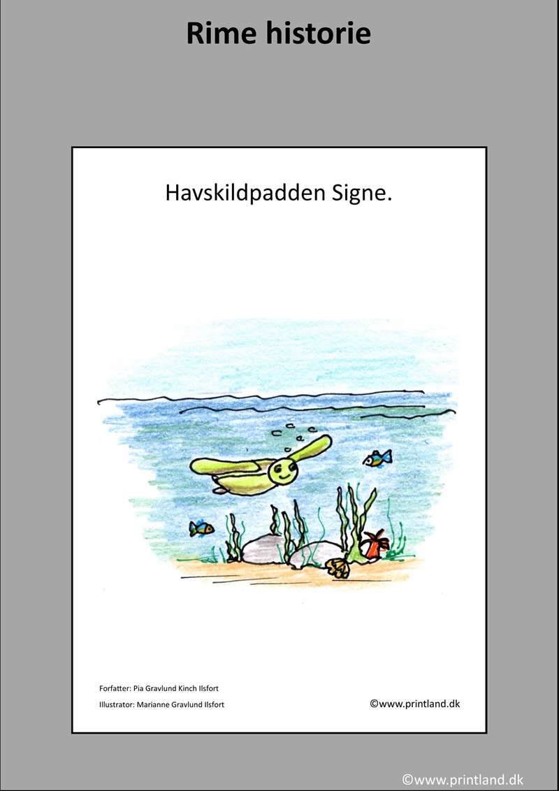 a18. havskildpadden signe
