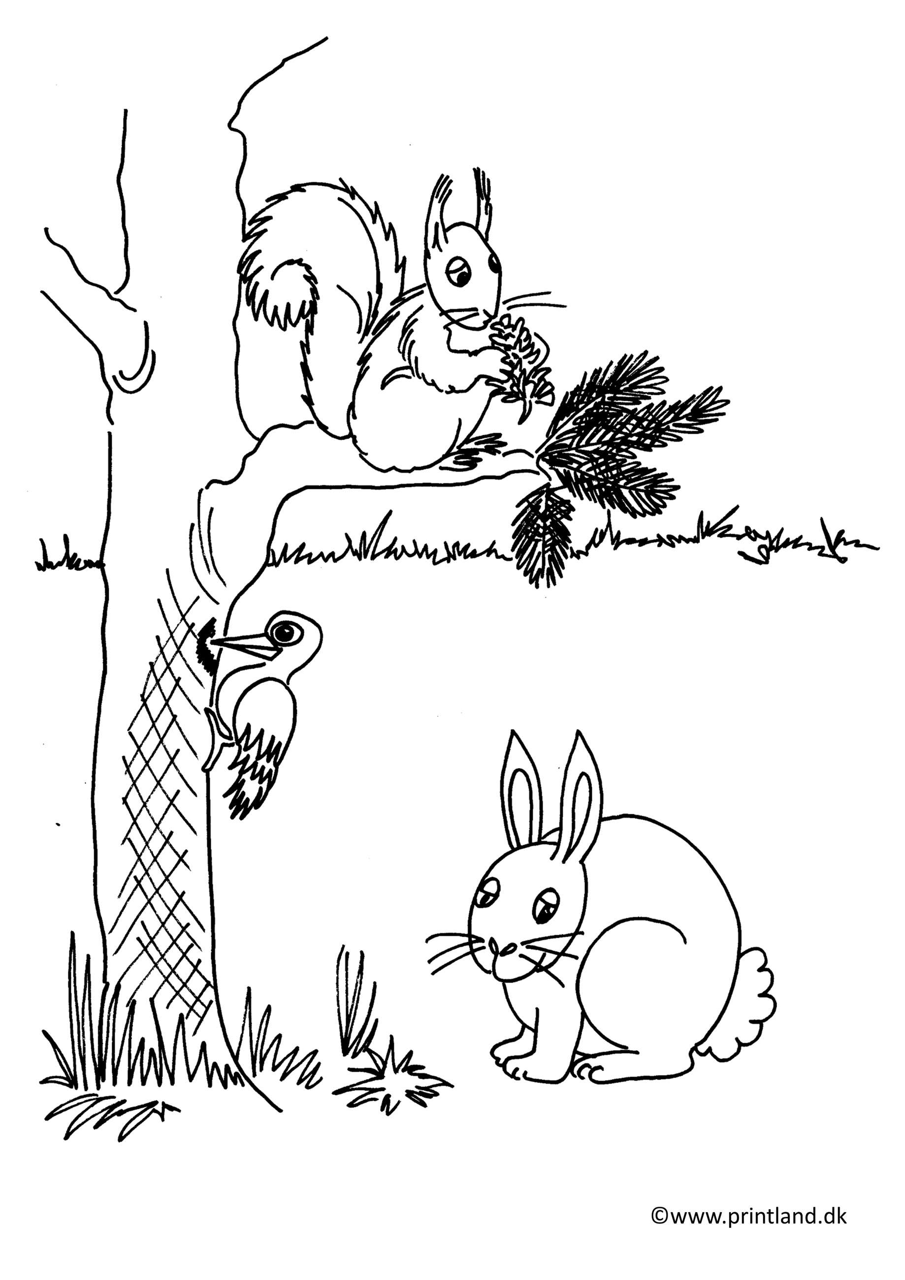 a25. egern og kanin
