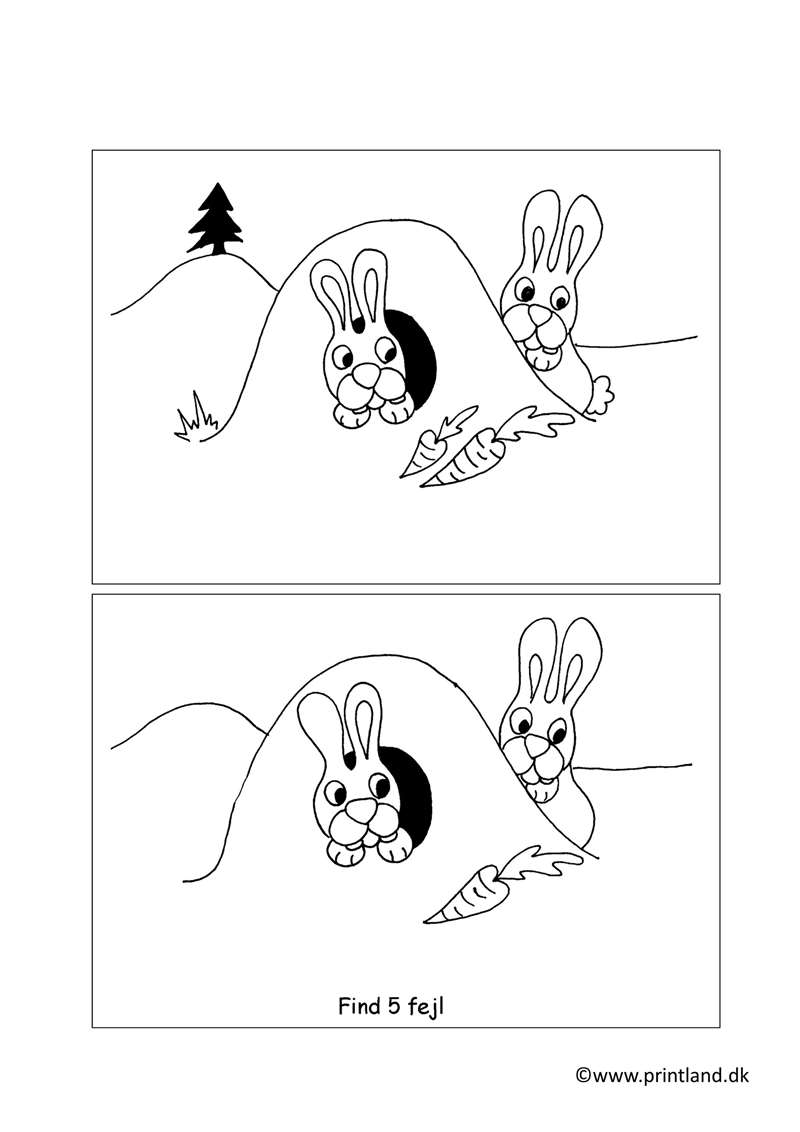 c17. kaniner