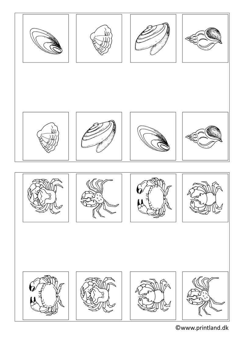 c15. krabber og muslinger