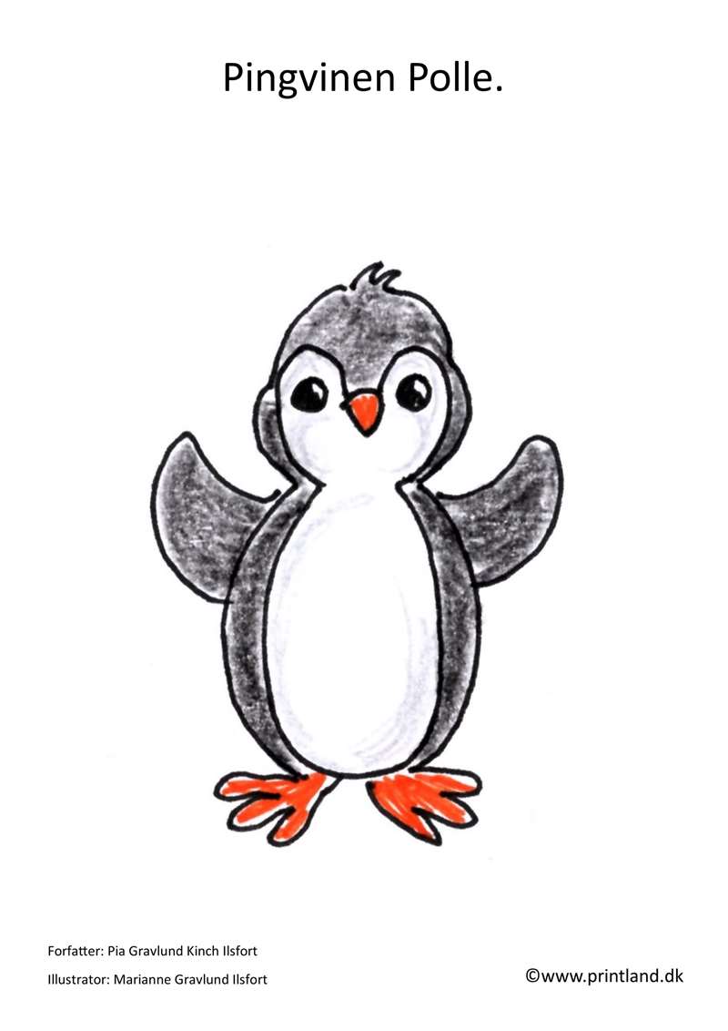 h50. pingvinen polle
