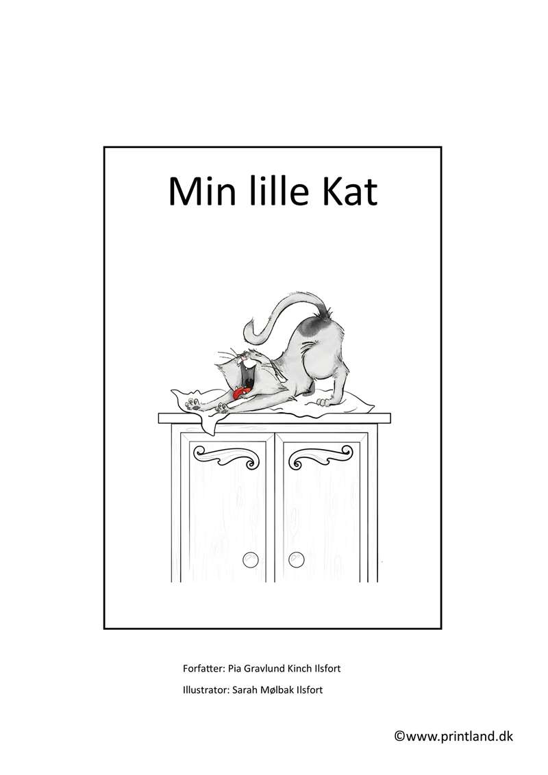 h11. forside min lille kat lille