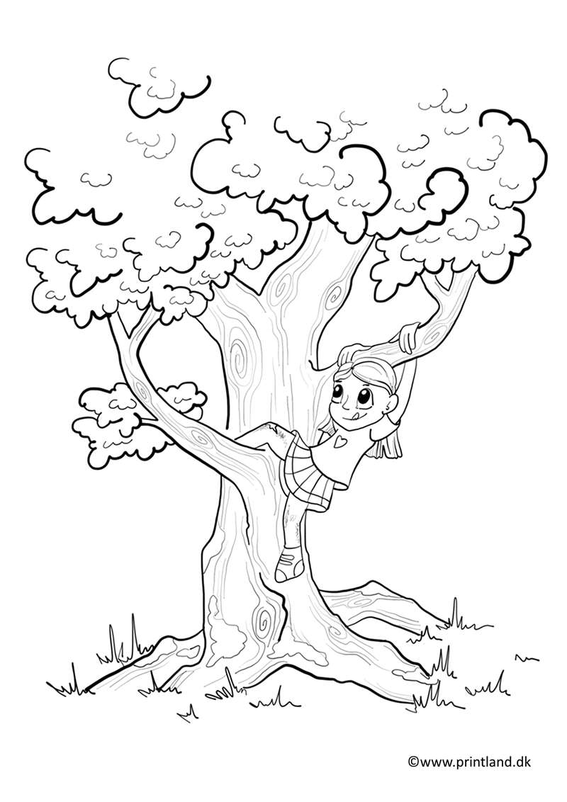 a41. barn kravler i træ