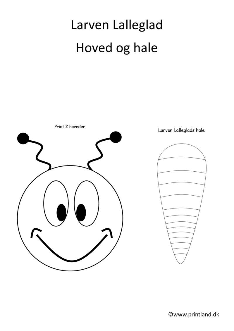 a12. forside hoved og hale