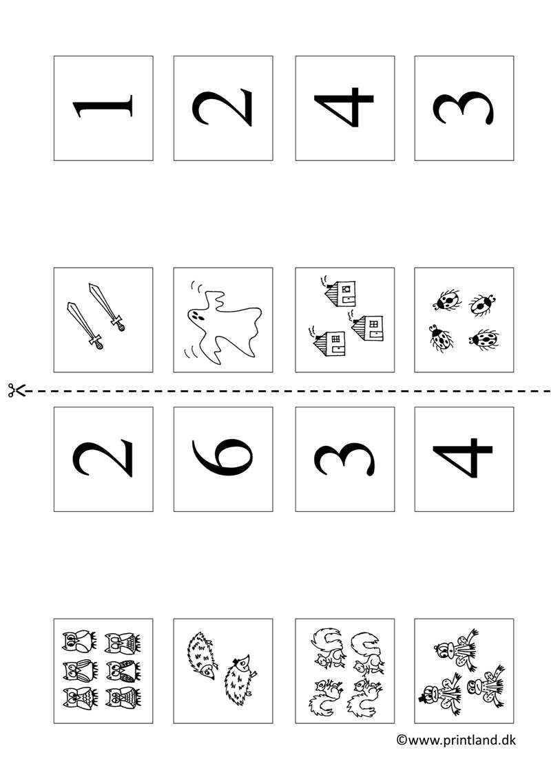 a11. art 8