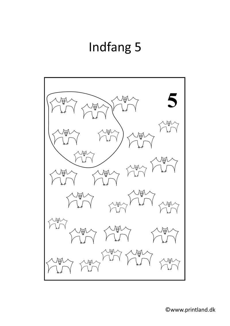 a18. forside indfang 5