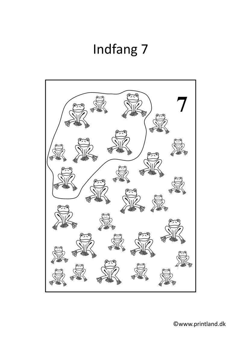 a20. forside indfang 7