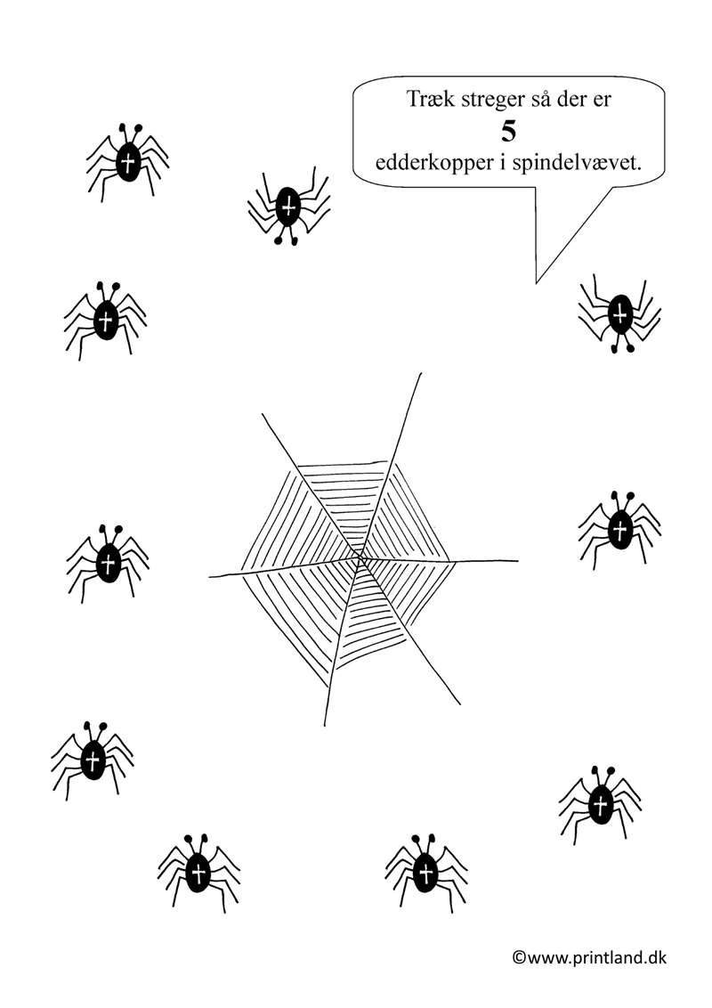 a24. indsæt antal 5 edderkopper